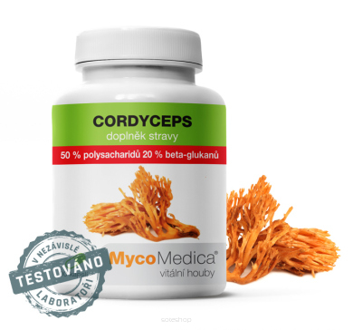 CORDYCEPS 50 % W WYSOKIM STĘŻENIU | MycoMedica