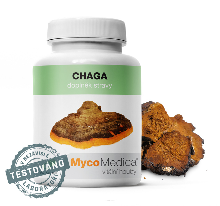 Chaga w optymalnym stężeniu | MycoMedica