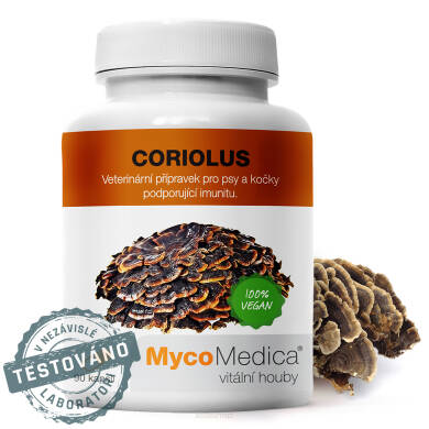 Coriolus w optymalnym stężeniu | MycoMedica